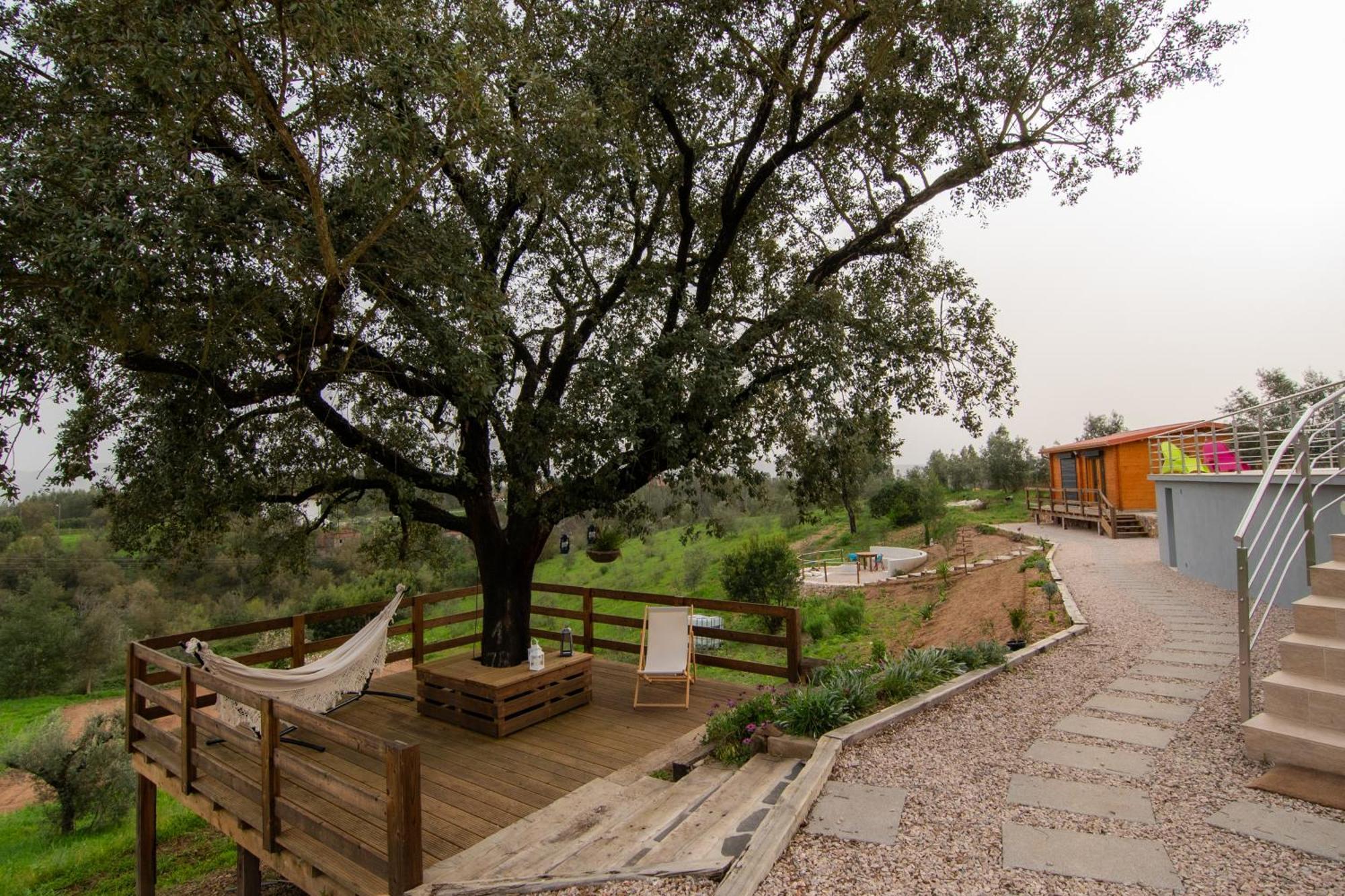 Quinta Do Esteval เปนากอวา ภายนอก รูปภาพ